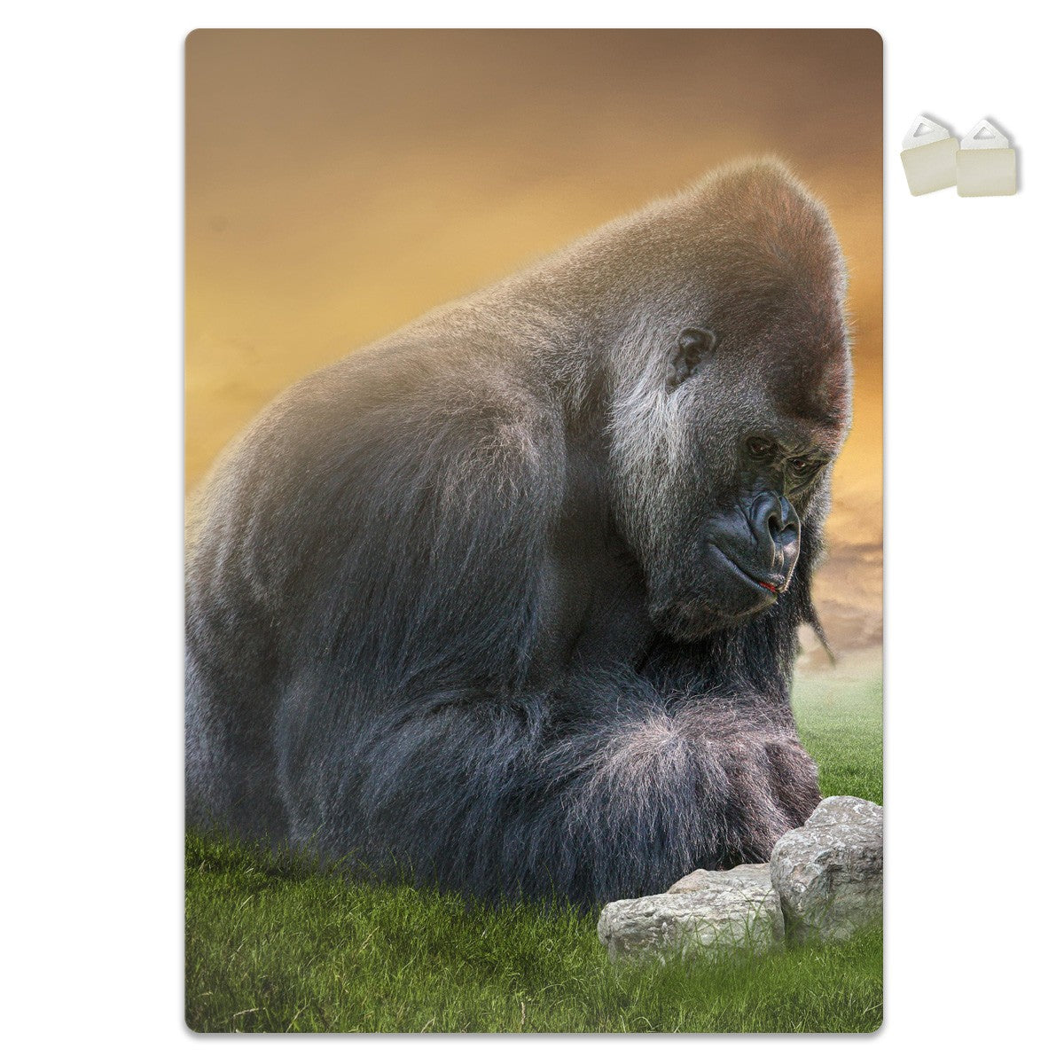 GORILLAS - POSTER in PVC da 3mm - PlastiWood (14554876)