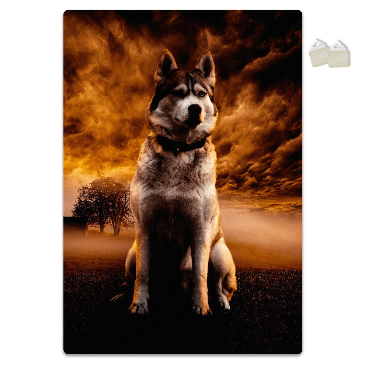 HUSKY - POSTER in PVC da 3mm - PlastiWood (14555105)