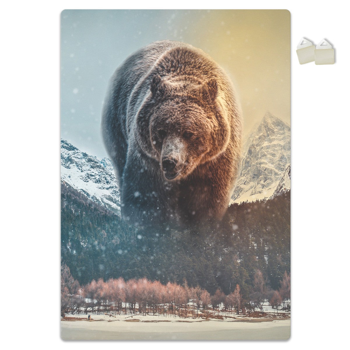 ORSO - POSTER in PVC da 3mm - PlastiWood (14556406)